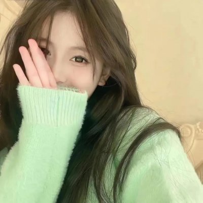 驯龙高手：归家