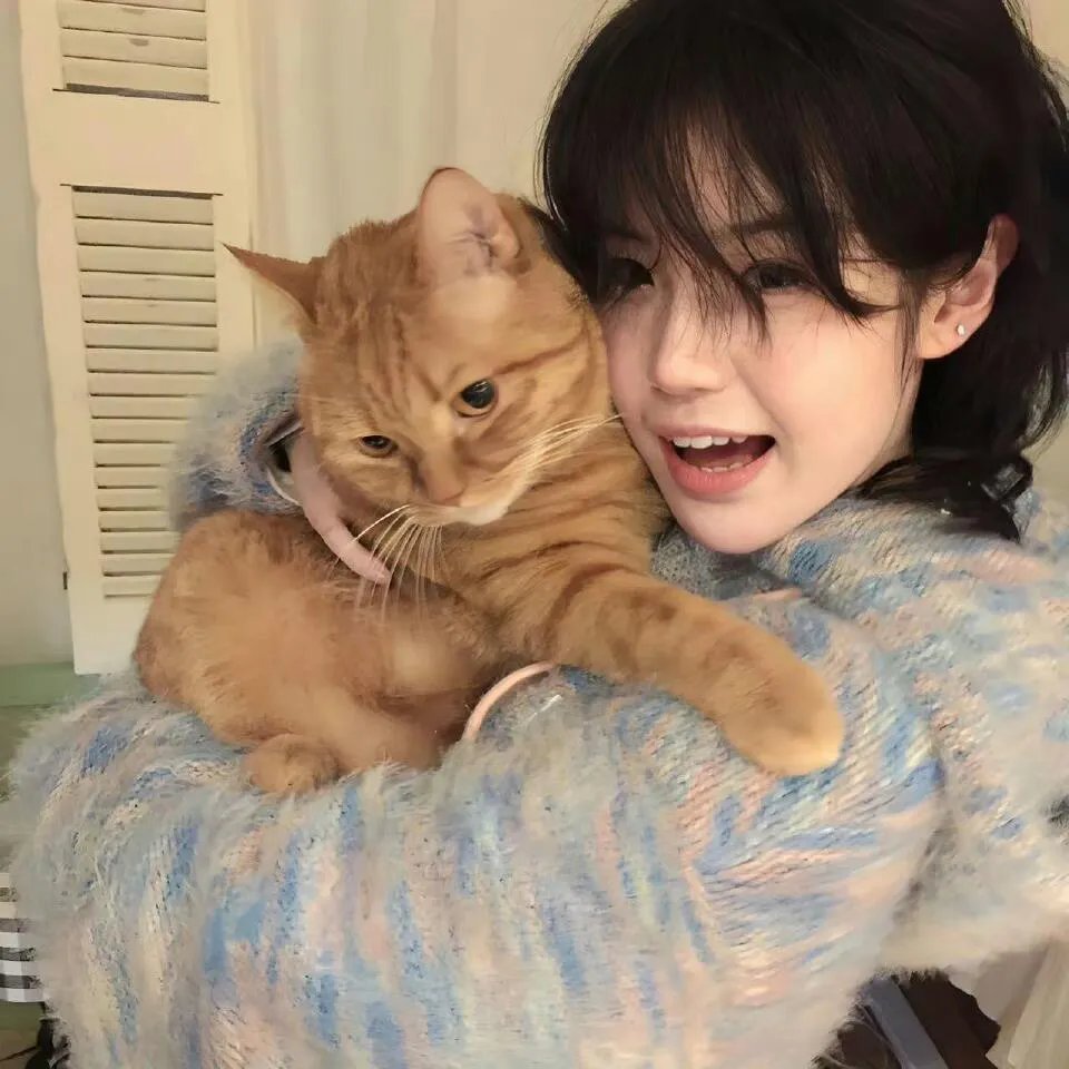 镇魂曲之九霄琴